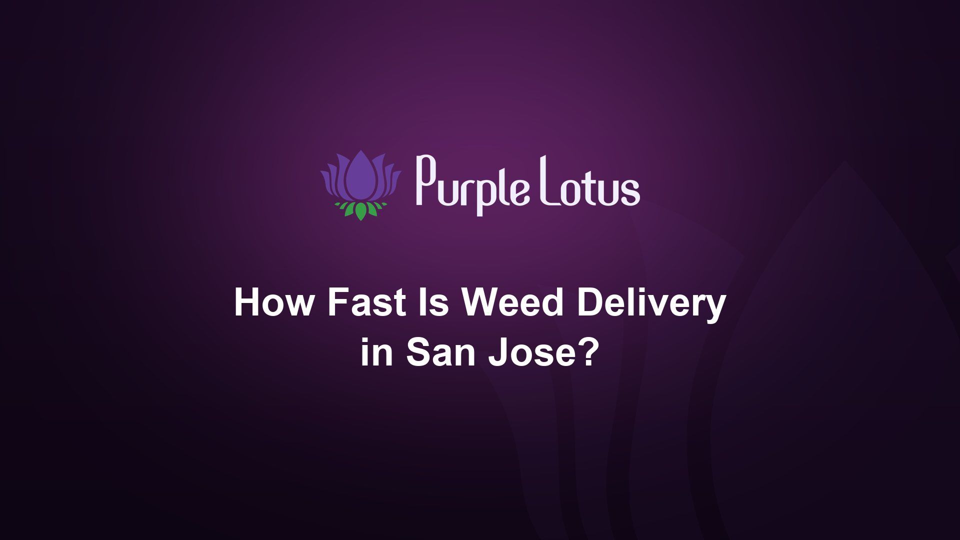 Purple Lotus cover graphic: how fast is weed delivery in San Jose