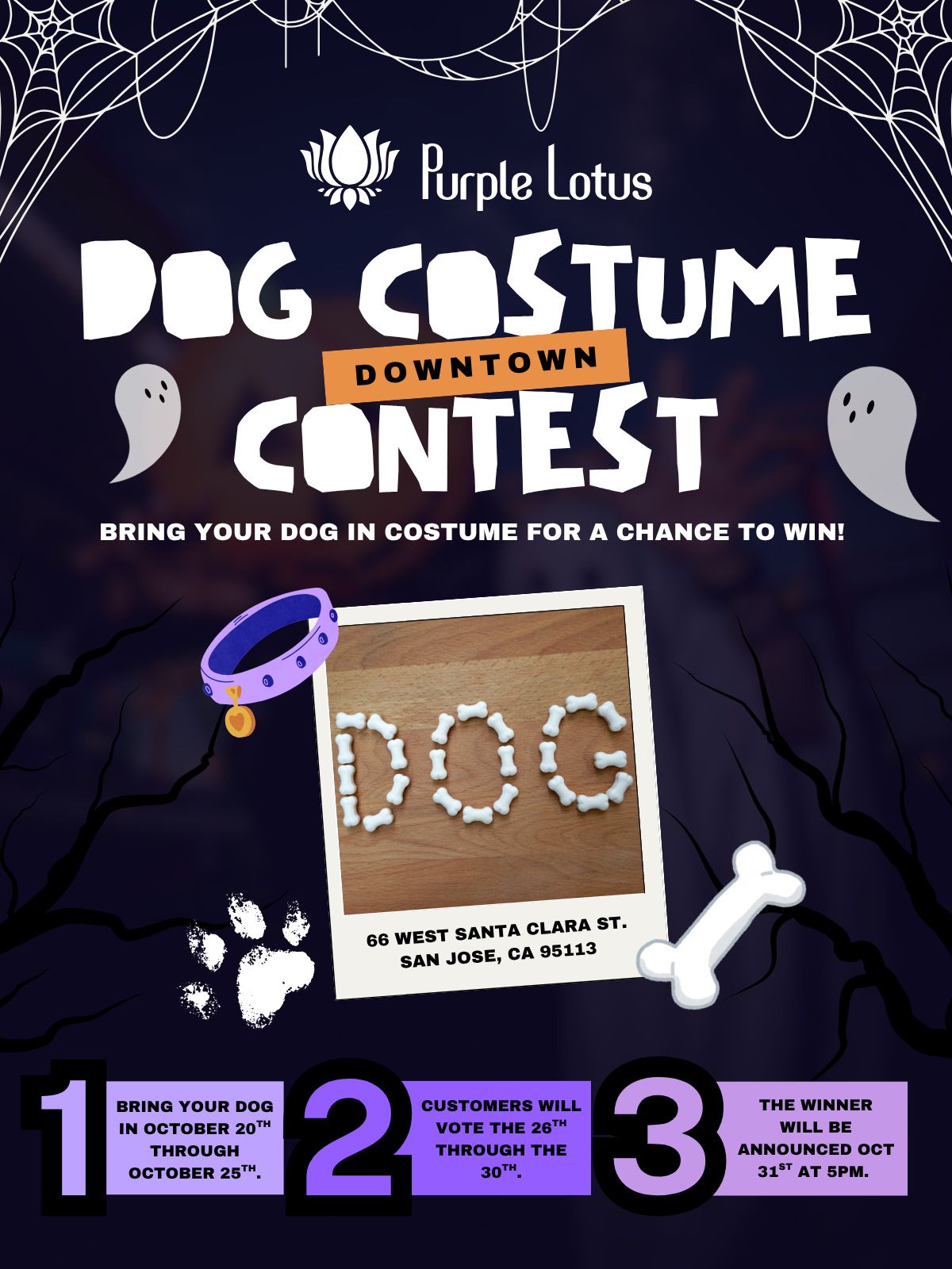 halloween dog costume contest