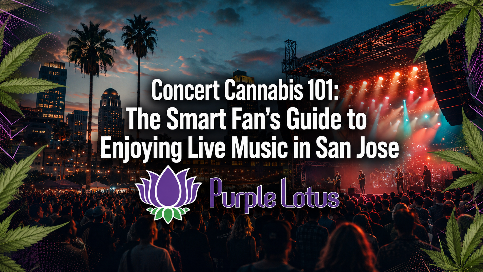 Concert Cannabis 101: The Smart Fan's Guide to Enjoying Live Music in San Jose