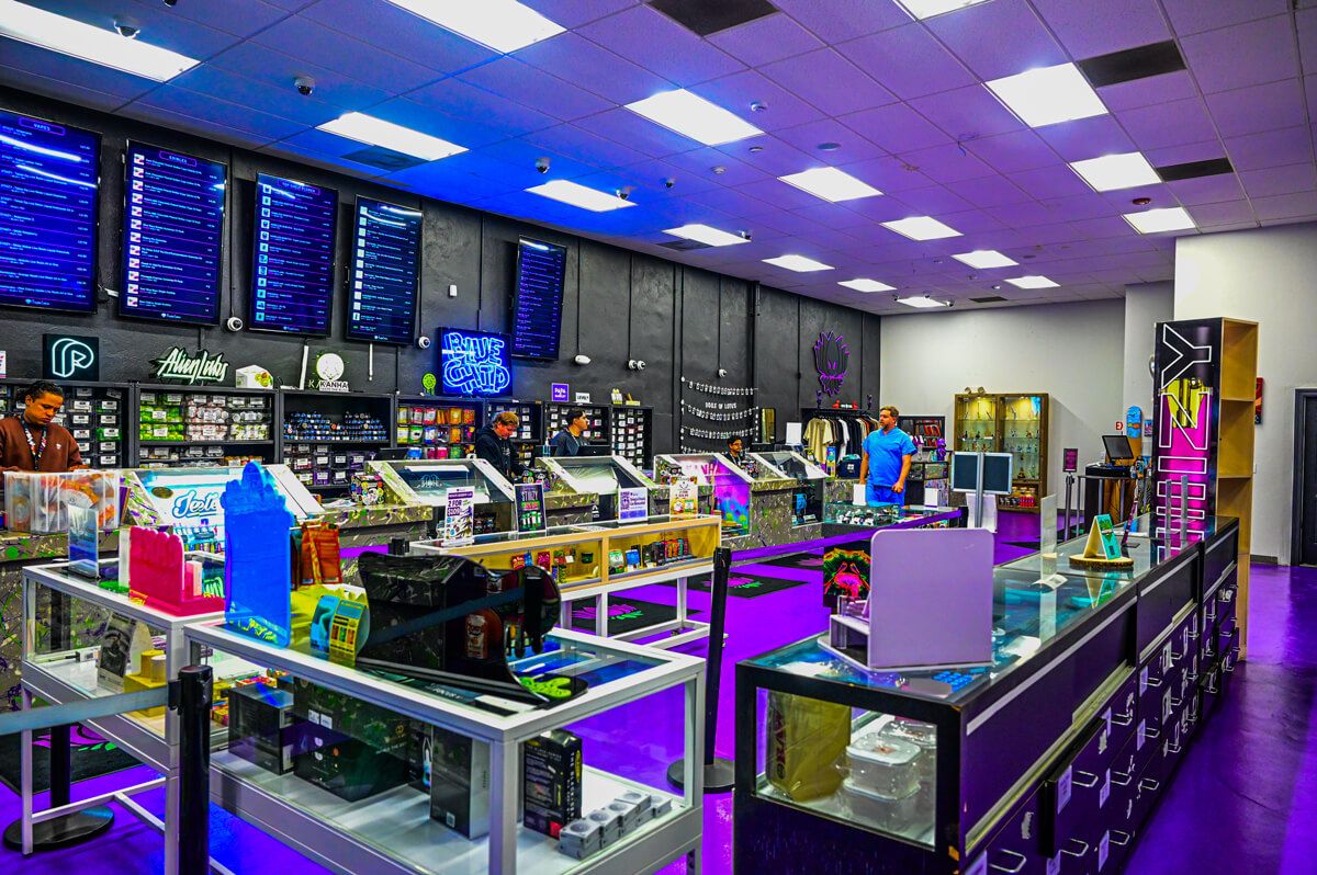 purple lotus sales floor