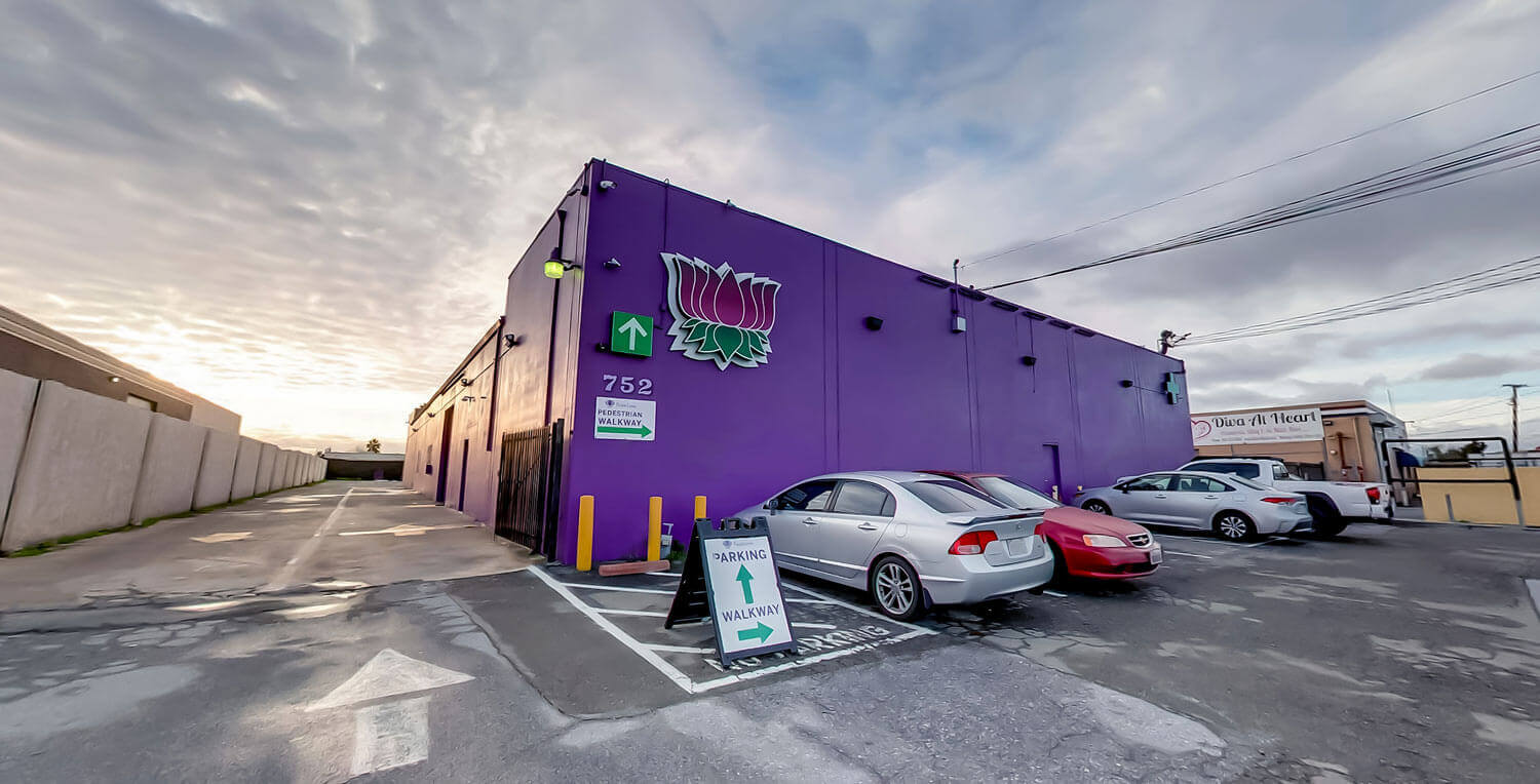 purple lotus store front