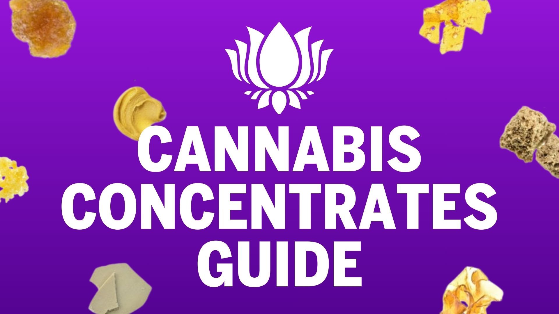 Cannabis Concentrates Guide: Wax, Shatter, Live Resin, and More 🧪