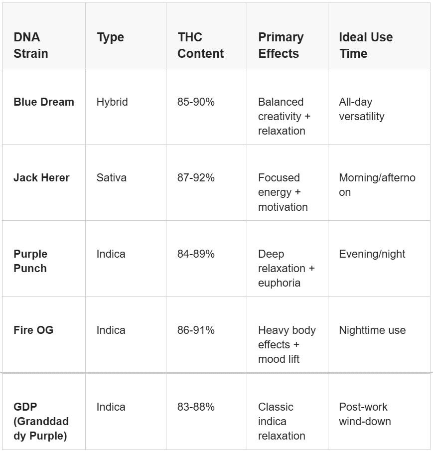 plug play DNA