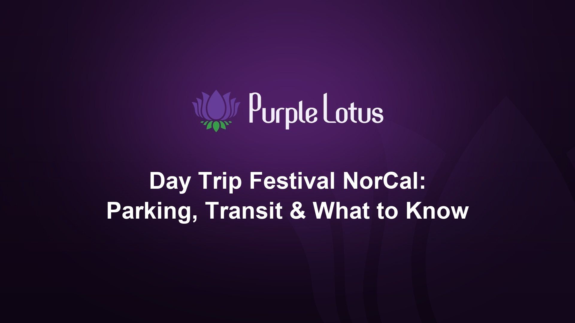 Purple Lotus cover graphic: Day Trip Festival NorCal, with parking, transit and what to know