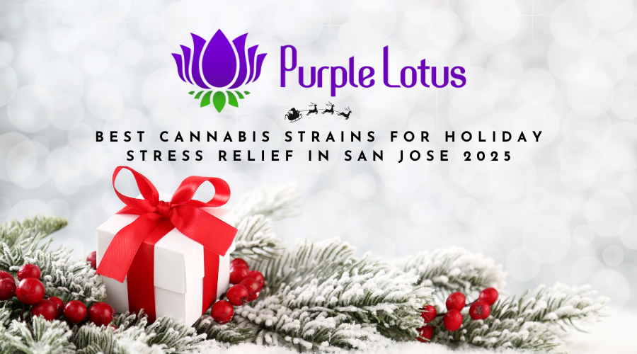 Best Cannabis Strains for Holiday Stress Relief in San Jose 2025 🎄