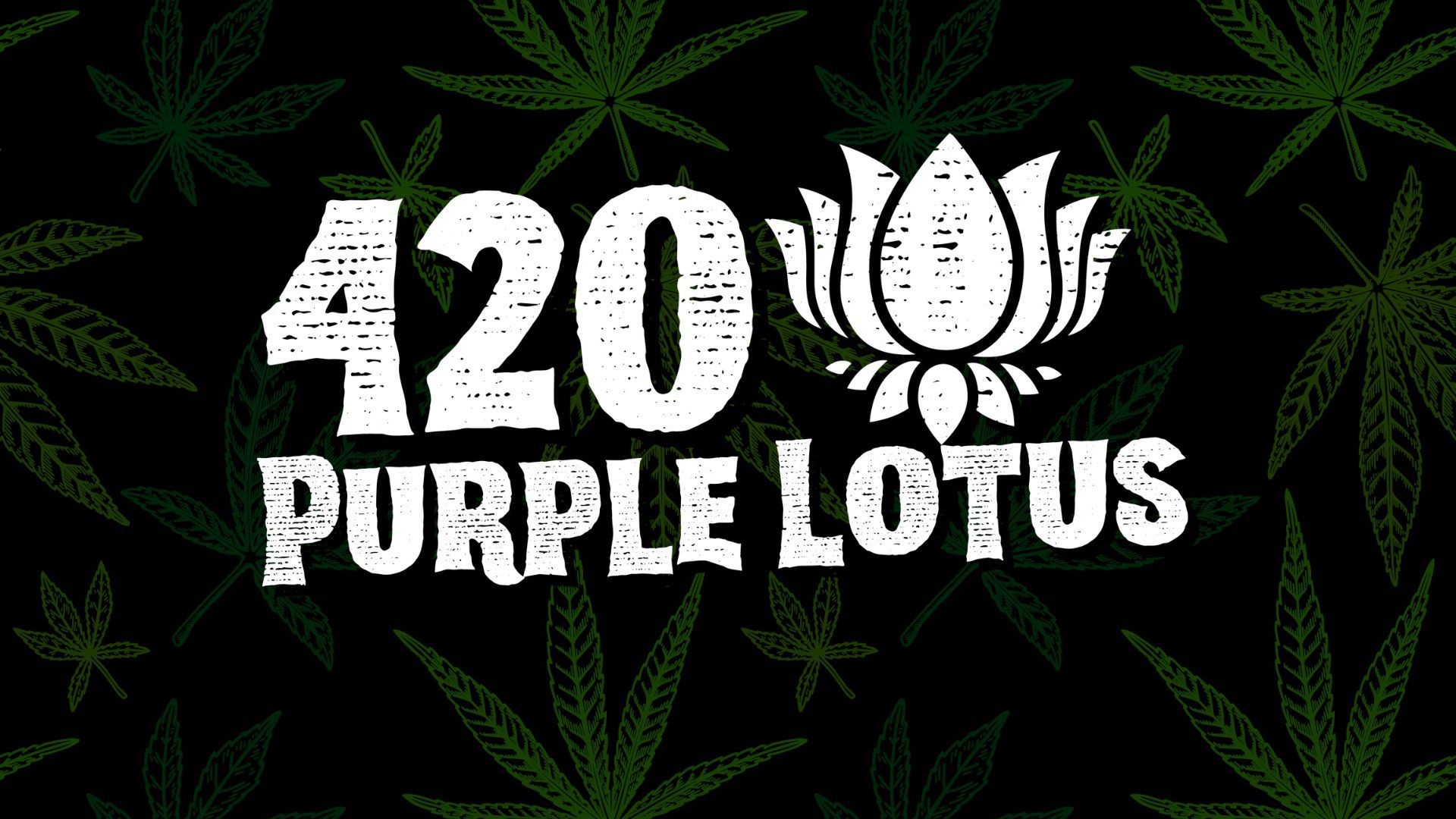 420 at Purple Lotus: San Jose's Best Dispensary Deals and Celebrations for 2026