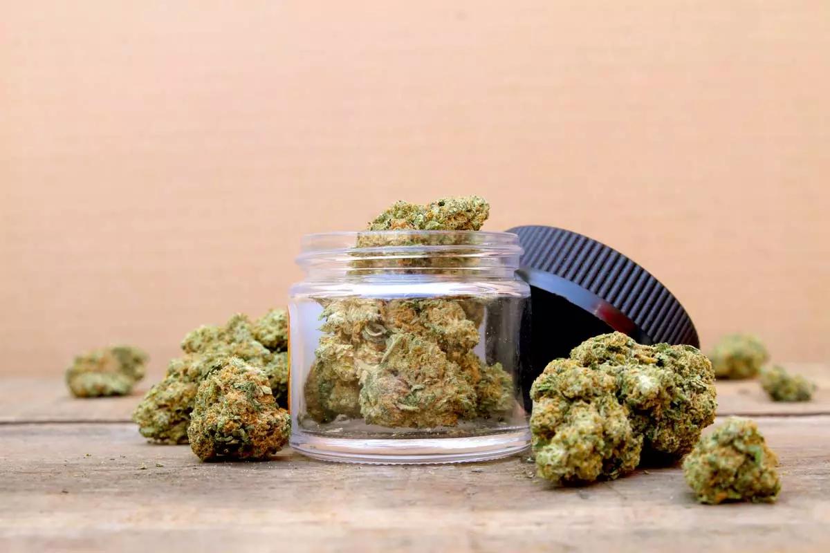 Hybrid vs. Indica vs. Sativa
