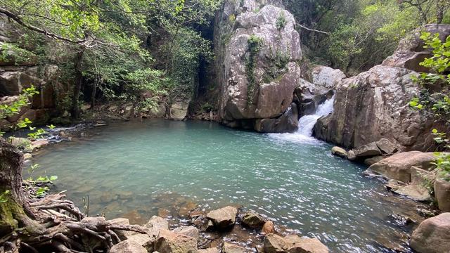 Арройо-де-ла-Мьель