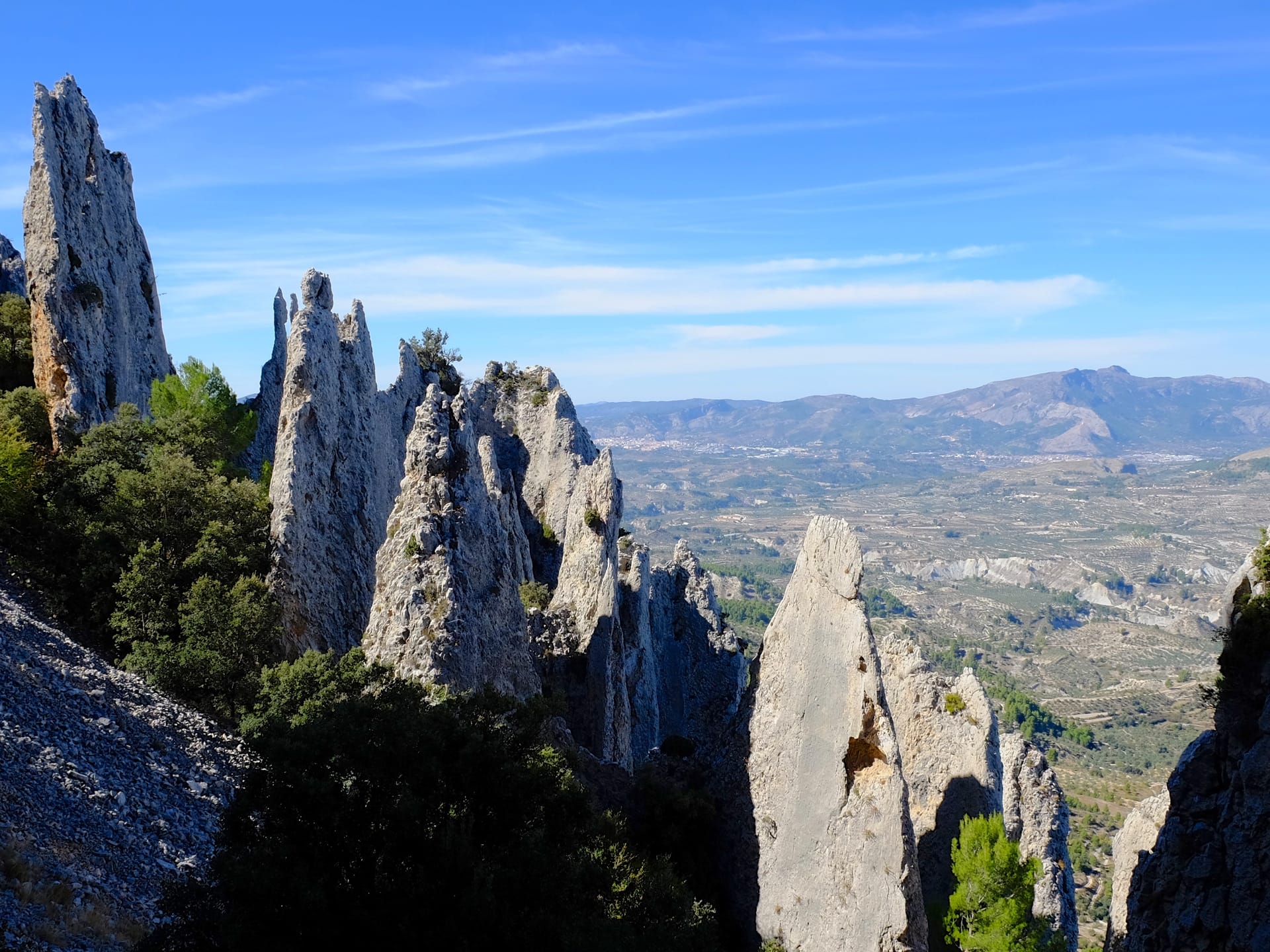 Ельс Фрарeс-де-Серрелья