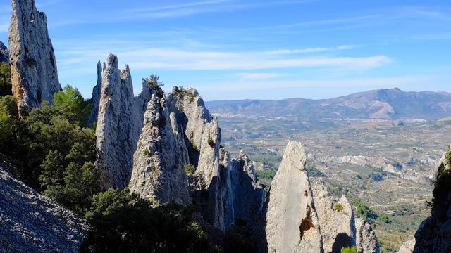 Ельс Фрарeс-де-Серрелья