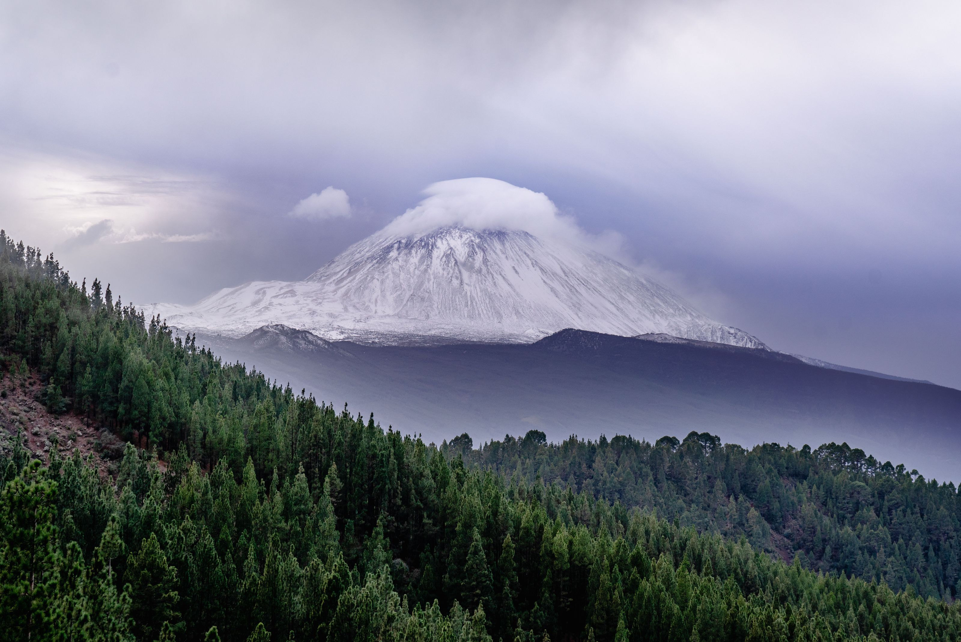 Snow-covered Teide under a cap of cloud, with pine forest on the slopes below