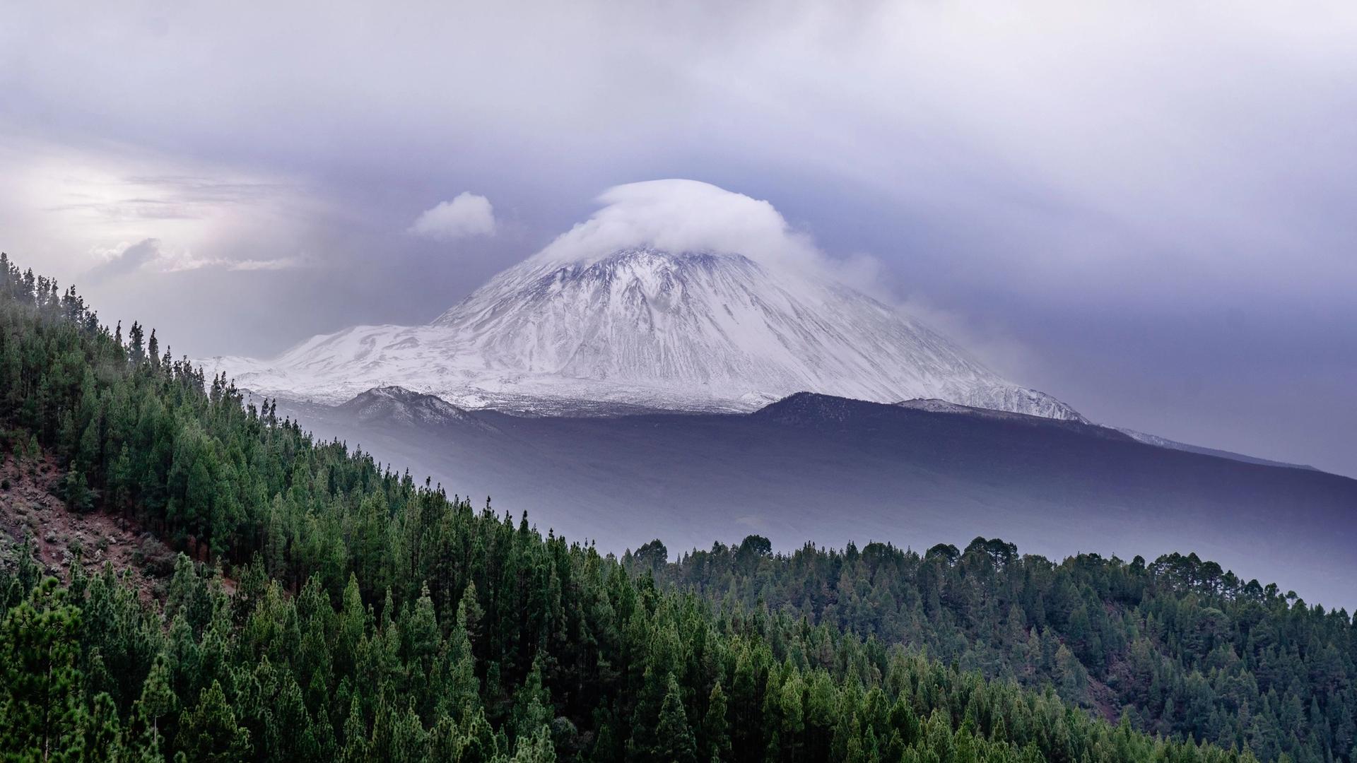 Snow-covered Teide under a cap of cloud, with pine forest on the slopes below