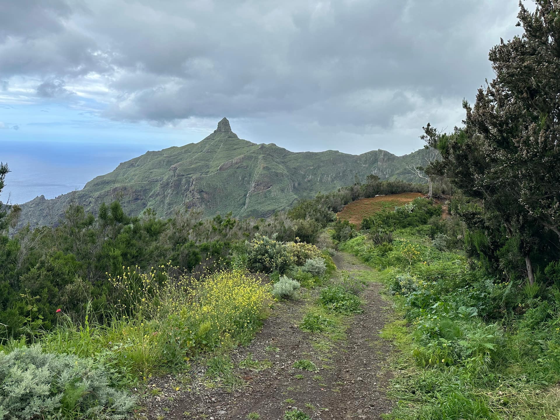 Оглядовий майданчик