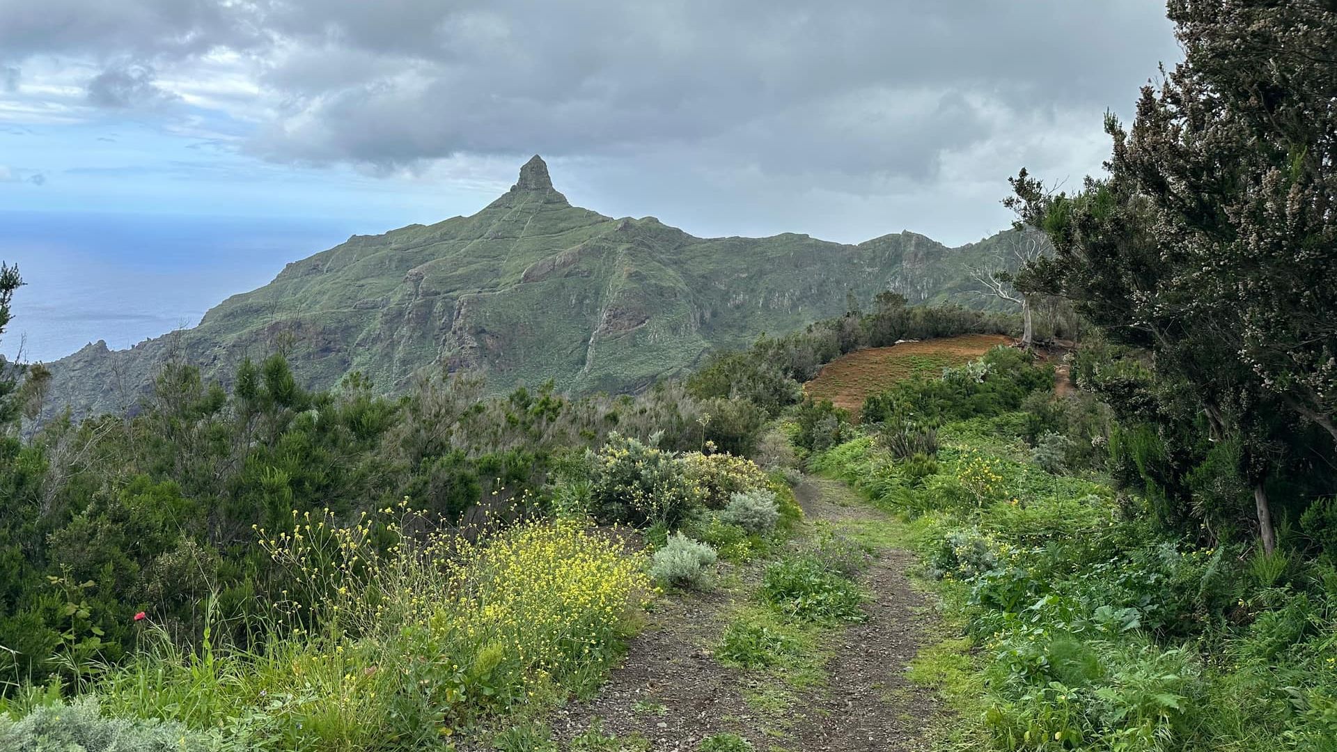 Смотровая площадка