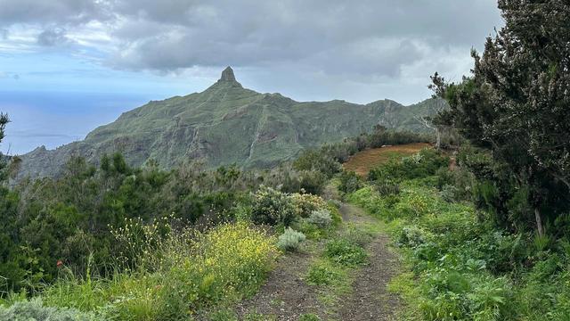 Смотровая площадка