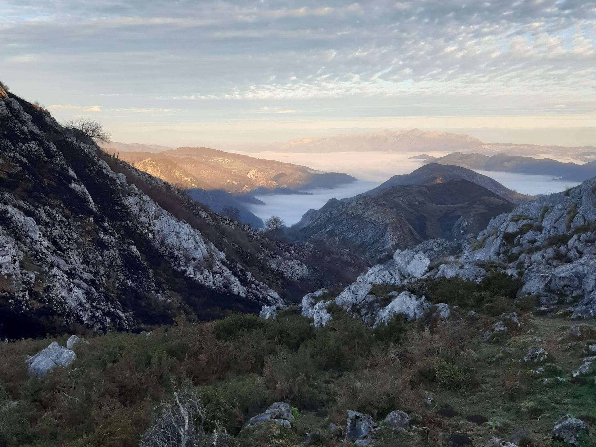 Смотровая площадка Королевы