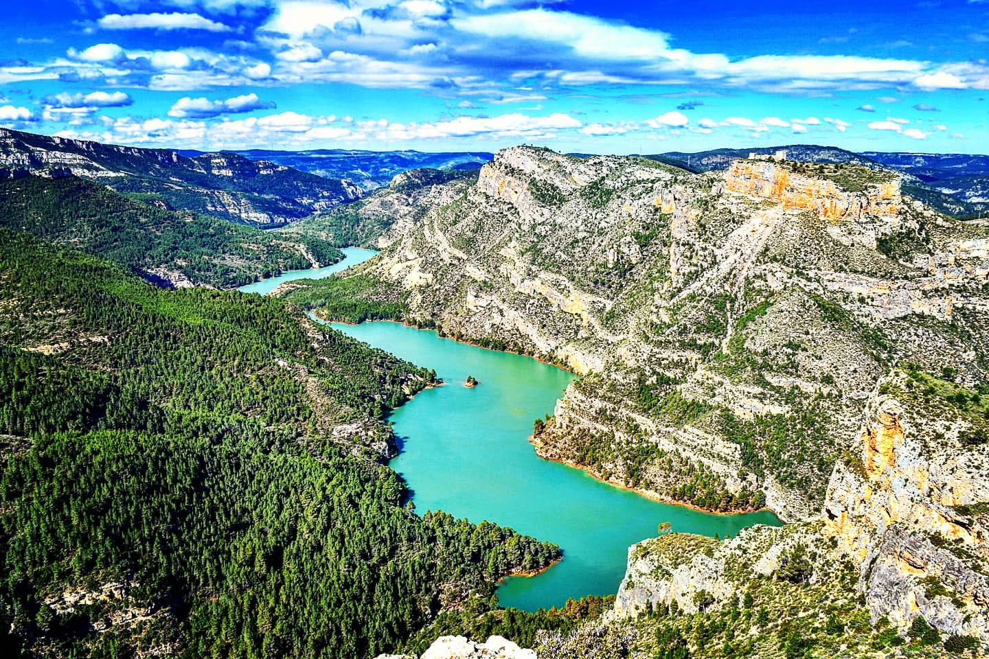 Цинтос Кортес-де-Пальяс