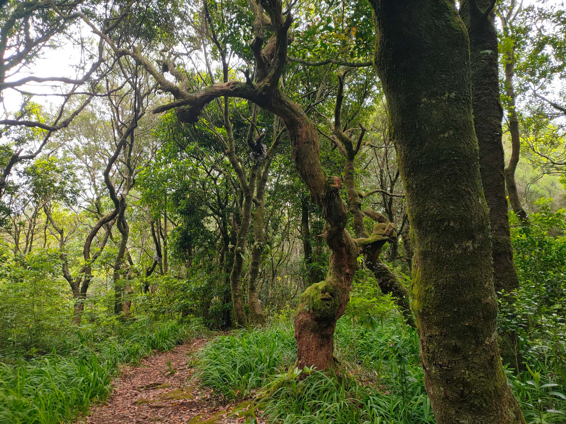 Стежка Шан‑душ‑Лоруш (PR22)