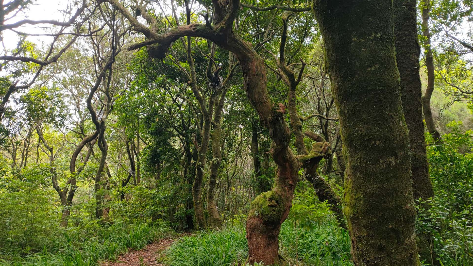 Стежка Шан‑душ‑Лоруш (PR22)