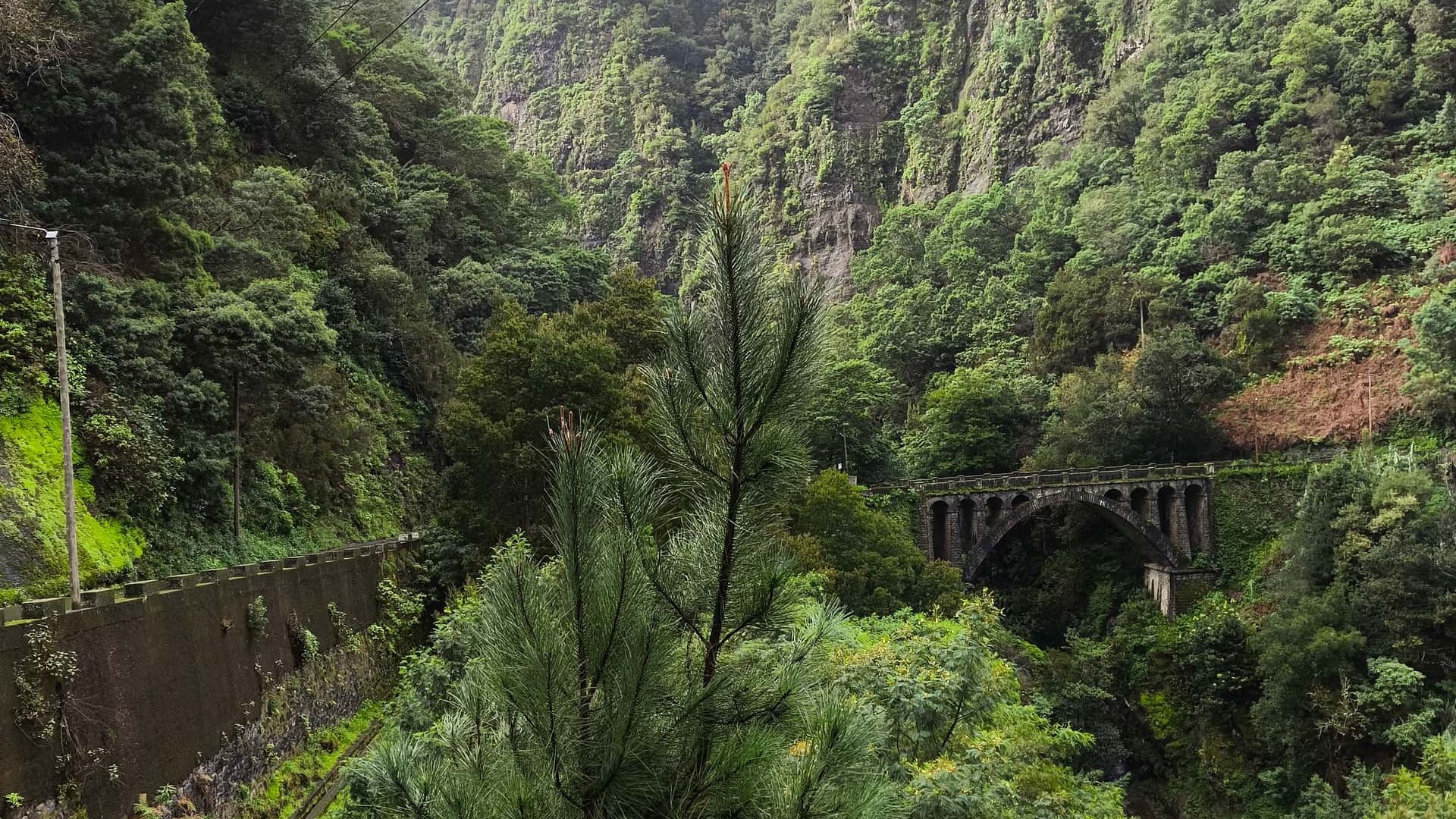 Мост Рибейра-да-Аметаде