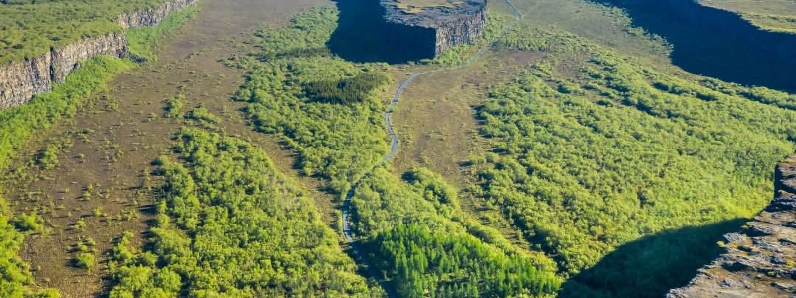 Asbyrgi Canyon