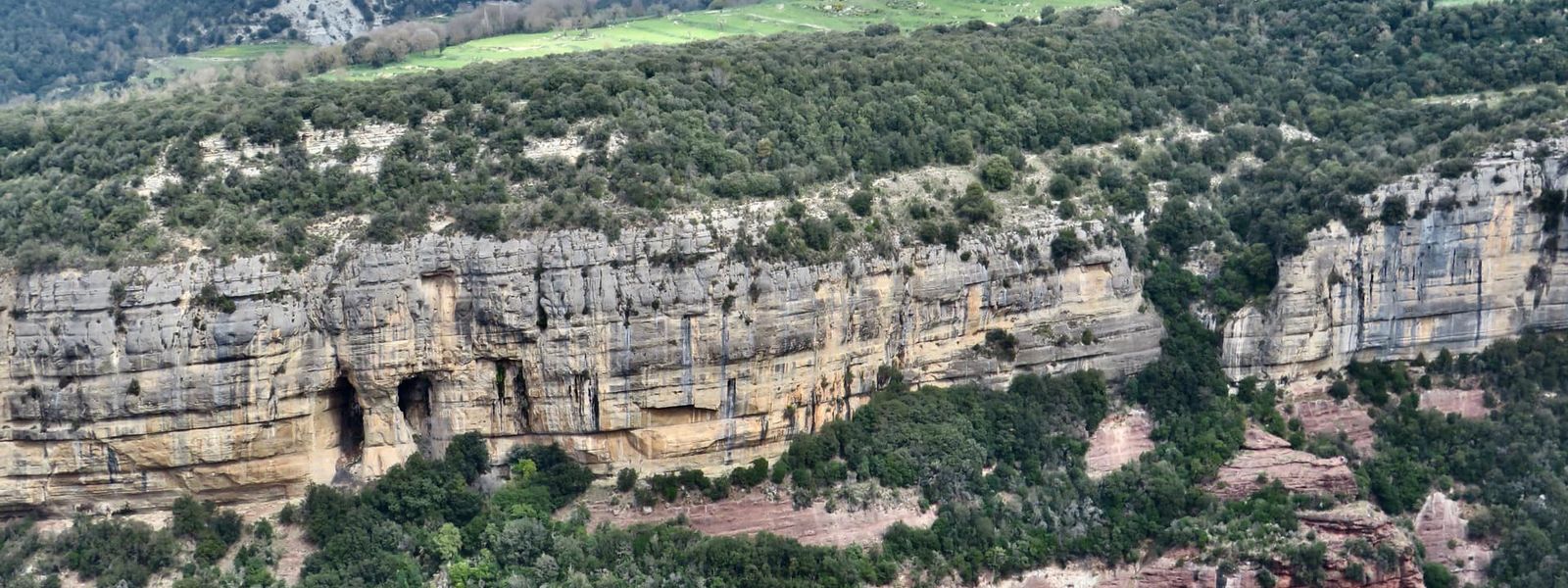 Bora de les Pixarelles