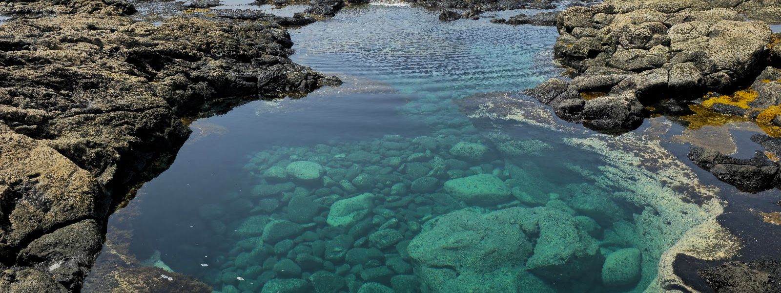 Los Charcones Natural Pools (Playa Blanca)