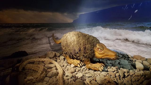 Icelandic Sea Monster Museum