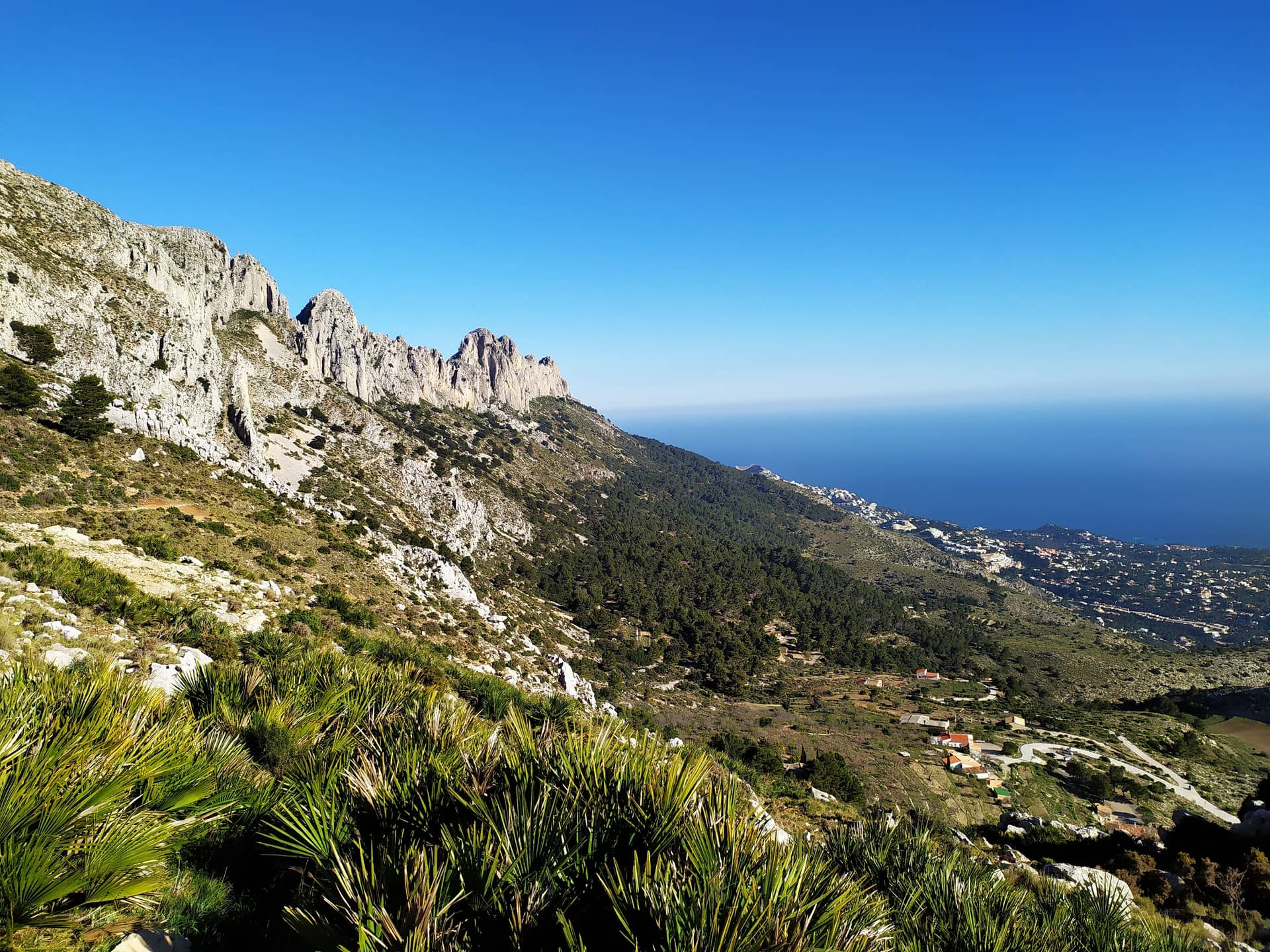 PR-CV 7 Берния