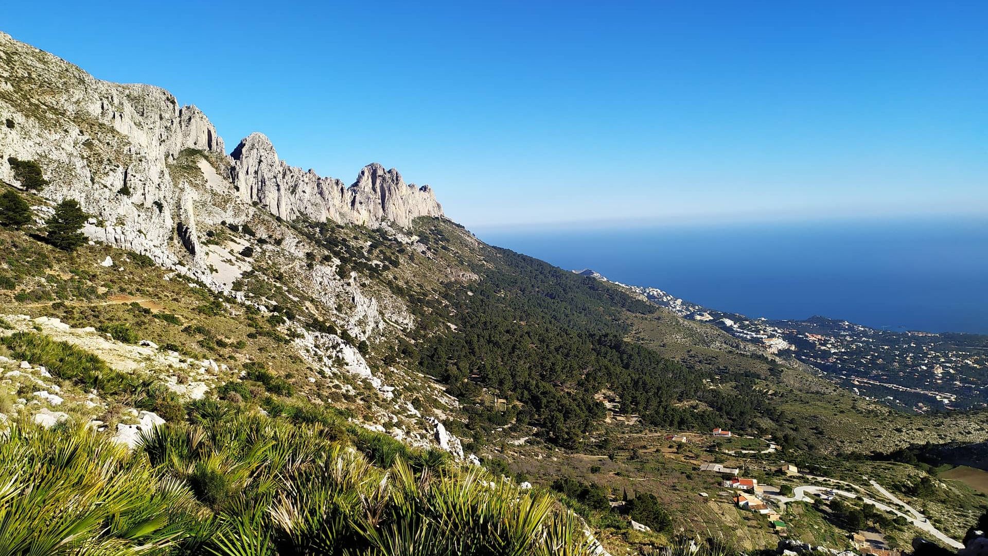 PR-CV 7 Берния