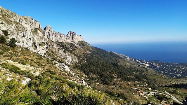 PR-CV 7 Бернія