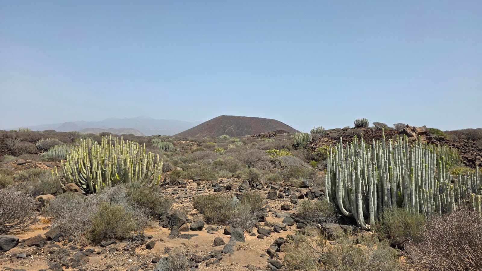 Malpais de La Rasca Nature Reserve