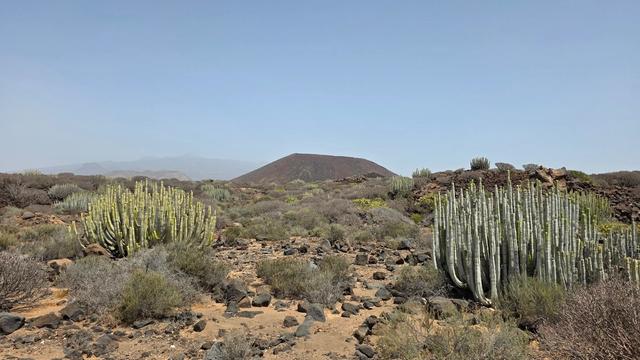 Malpais de La Rasca Nature Reserve