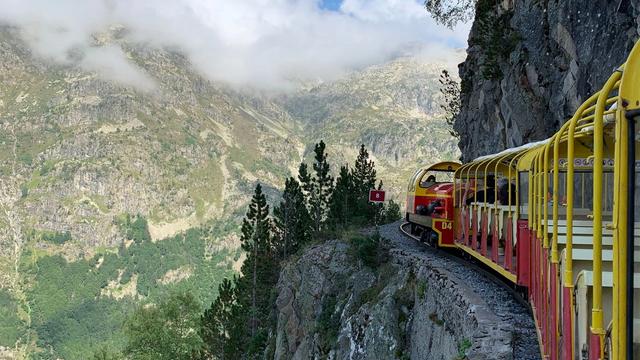 Узкоколейная железная дорога Артуст