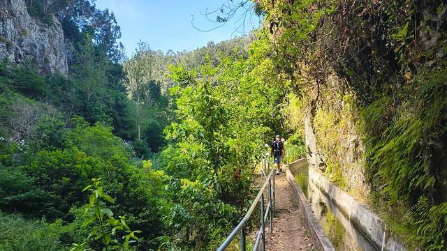 Levada do Norte