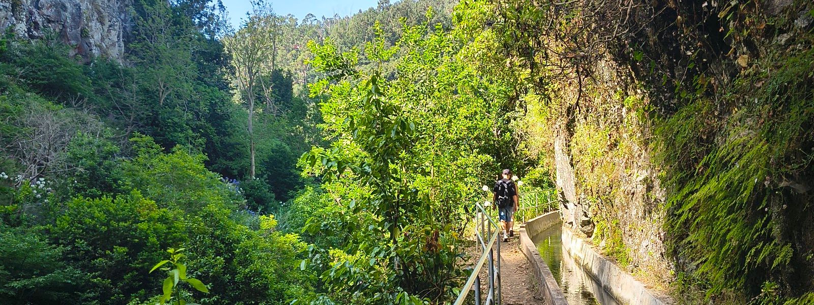 Levada do Norte
