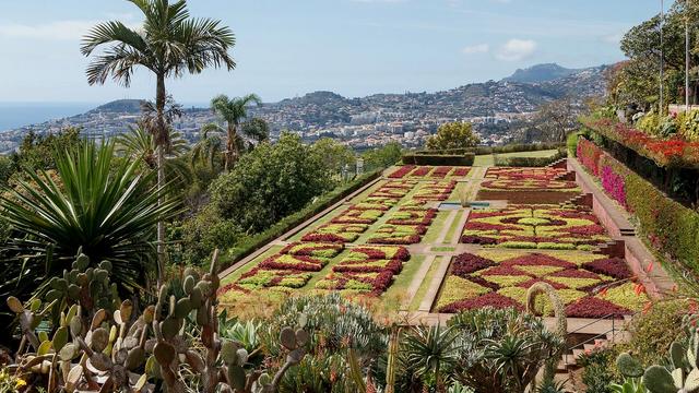 Madeira Botanical Garden
