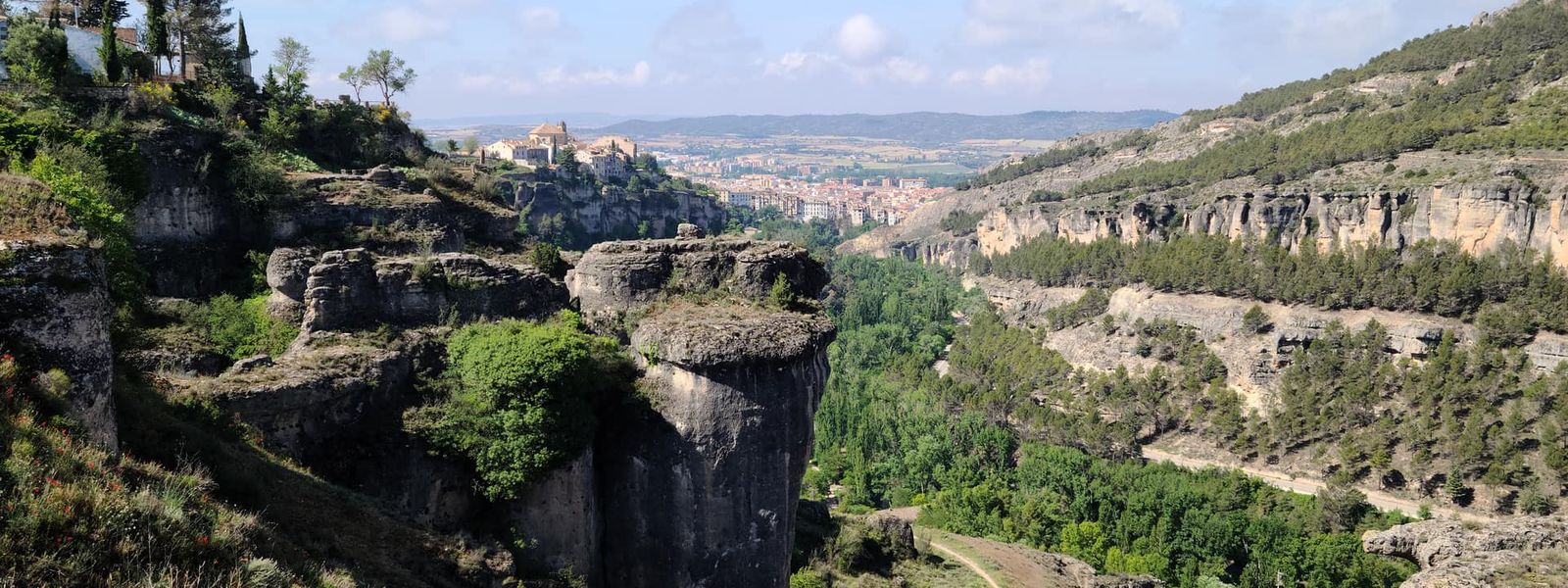 Jose Luis Coll Viewpoint