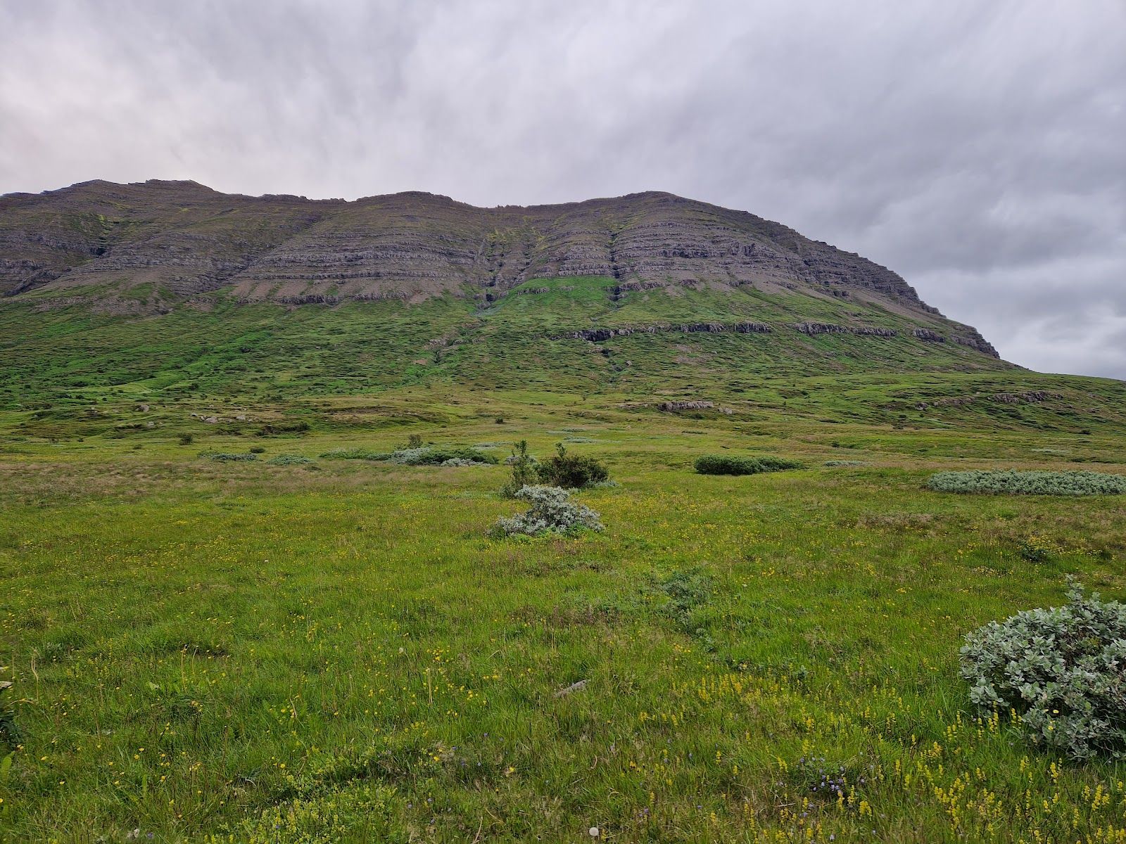 Neskaupstaður Nature Reserve