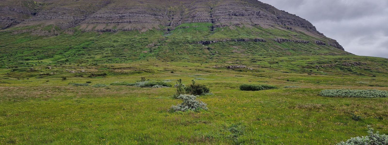 Neskaupstaður Nature Reserve