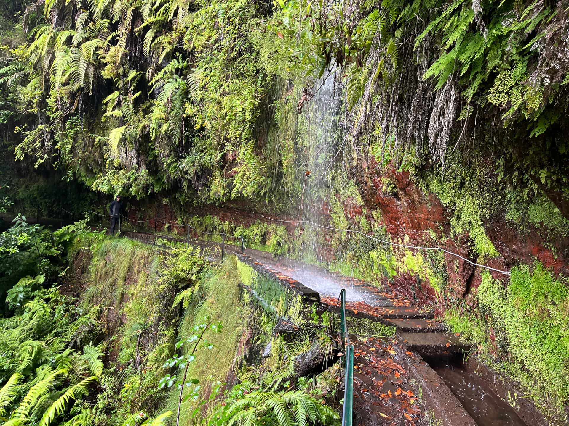 Левада Короля (PR18)