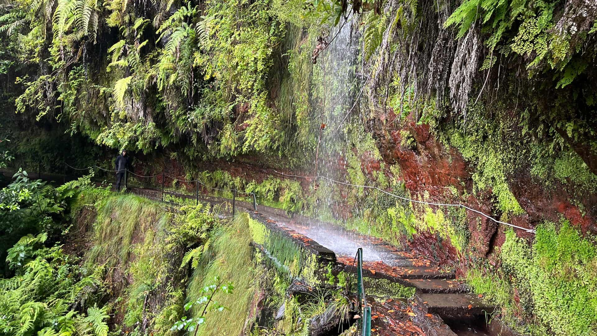 Левада Короля (PR18)