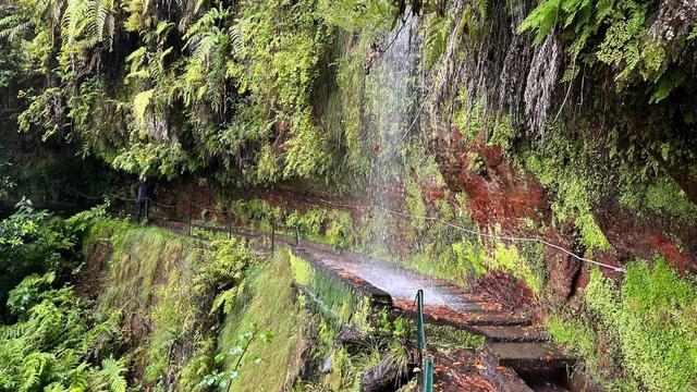 Левада Короля (PR18)