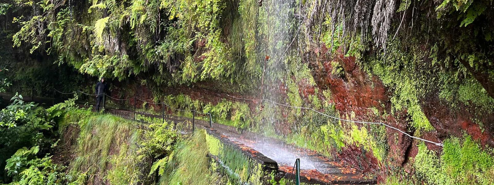 Levada do Rei (PR18)