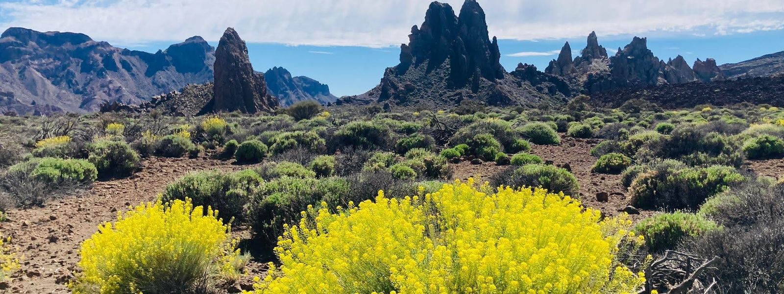 Roques de García Trail