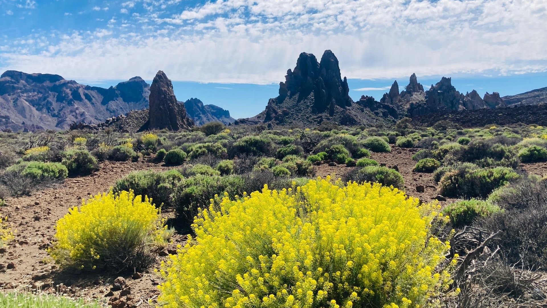Тропа Рокес-де-Гарсия
