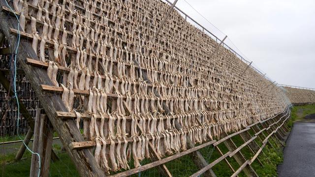 Bjarnarhöfn Shark Museum