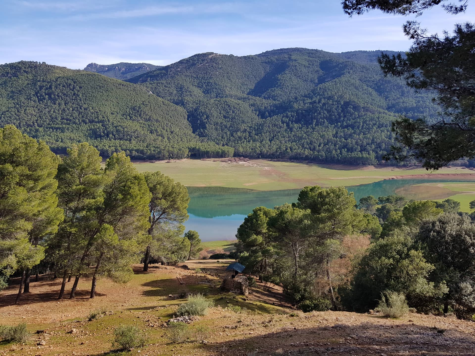 Мисливський парк Кольядо-дель-Альмендраль
