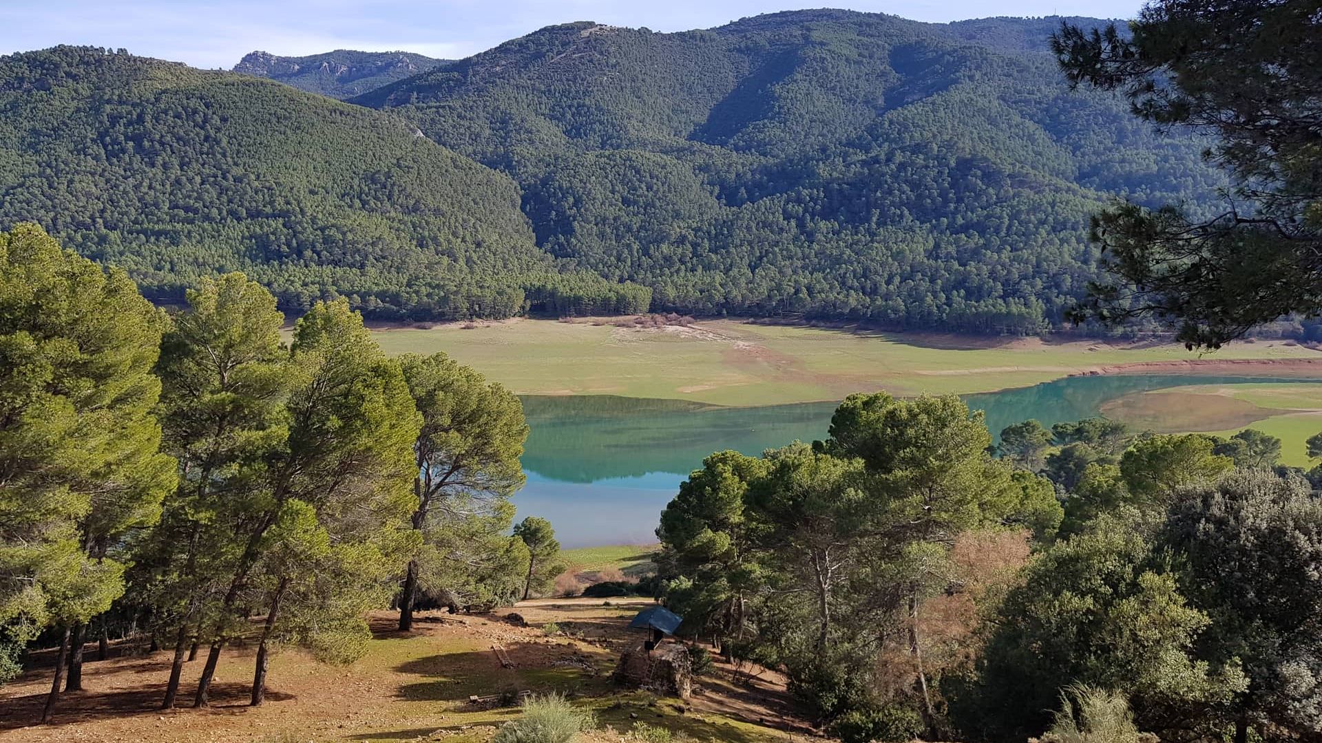 Охотничий парк Кольядо-дель-Альмендраль