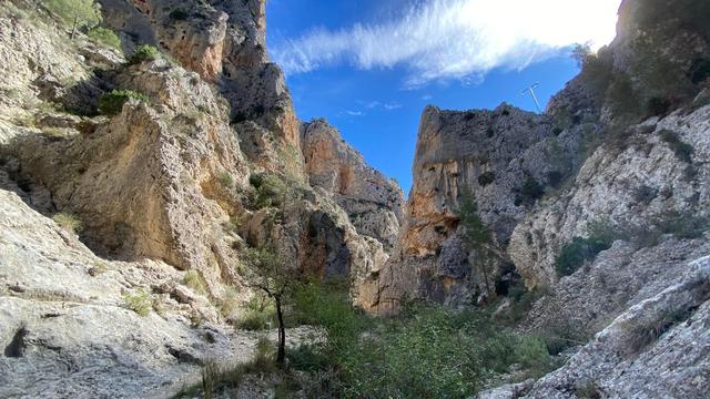 Ущелина Барранк-дель-Сінт
